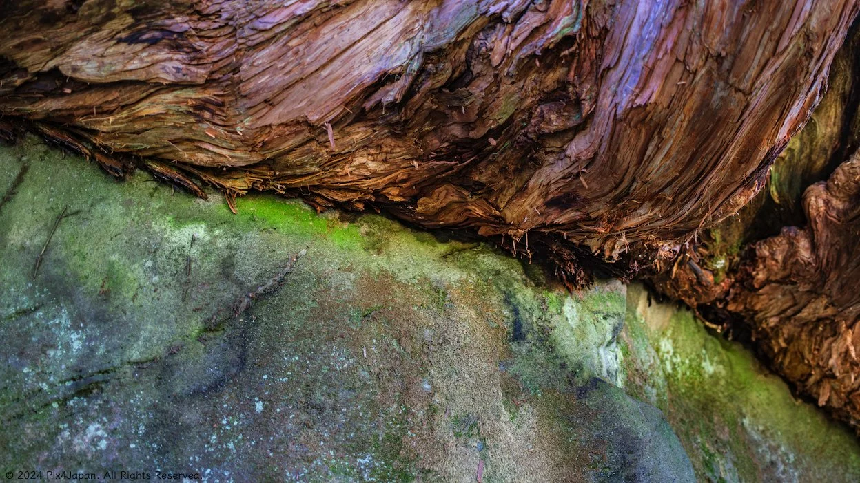 Abstracts | Explore and Purchase Art Prints — Pix4Japan